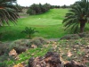 campo_de_golf_costa_teguise_lanzarote_5