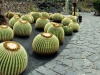 jardin_de_cactus_lanzarote_4