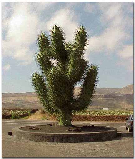 Esculturas de César Manrique en Lanzarote