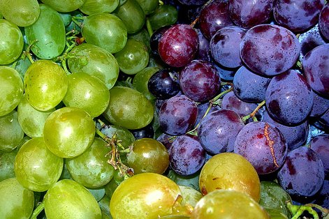 Vinos de Lanzarote